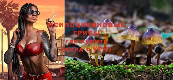 стаф Абаза