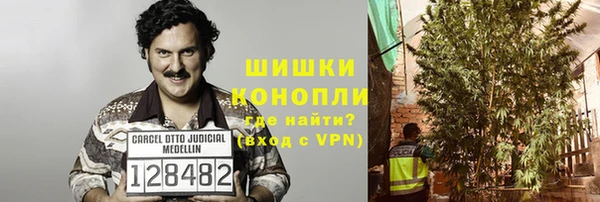 сатива Чердынь
