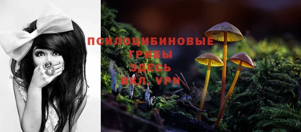 стаф Абаза