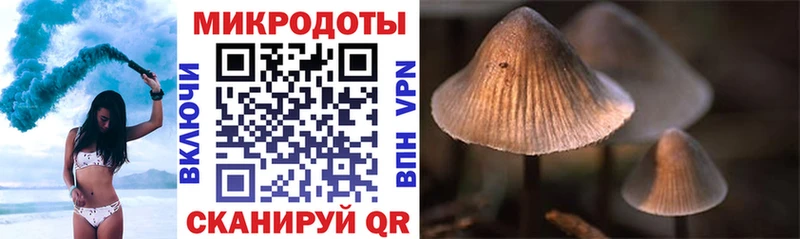 мега ССЫЛКА  Барыш  площадка как зайти  Галлюциногенные грибы ЛСД 